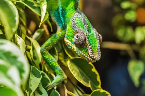 Avis sur le livre Madagascar voyage