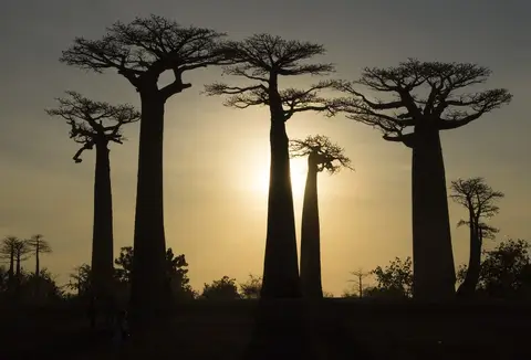 Madagascar voyage : mon avis sur l&rsquo;expérience