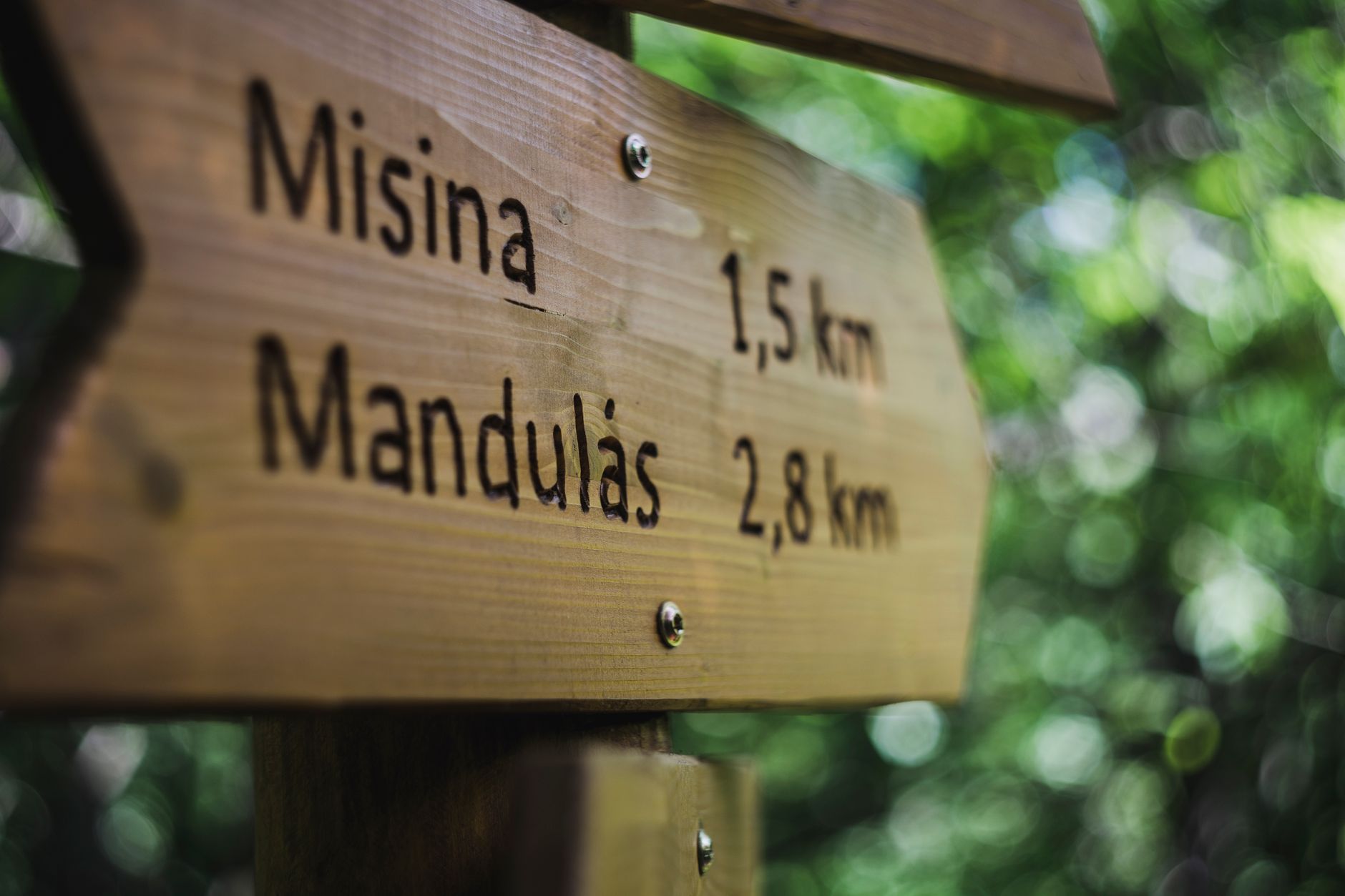 Découvrir l’est de Madagascar : un voyage au cœur des richesses culturelles et naturelles