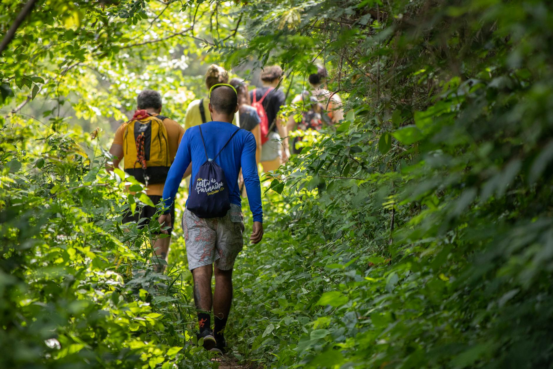 Séjour écologique à Madagascar : conseils et astuces