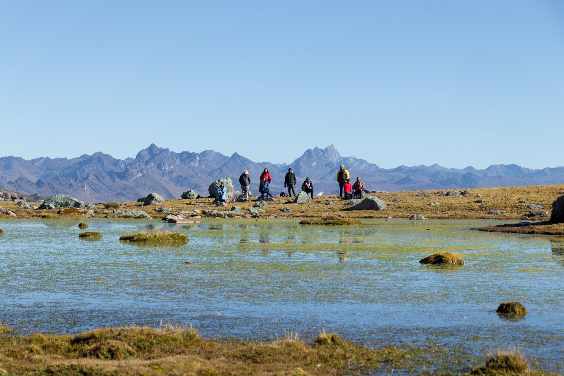 Madagascar : une biodiversité unique à explorer