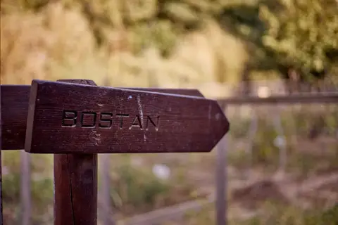 Circuit de 10 jours à Madagascar : découvrir la biodiversité et la culture