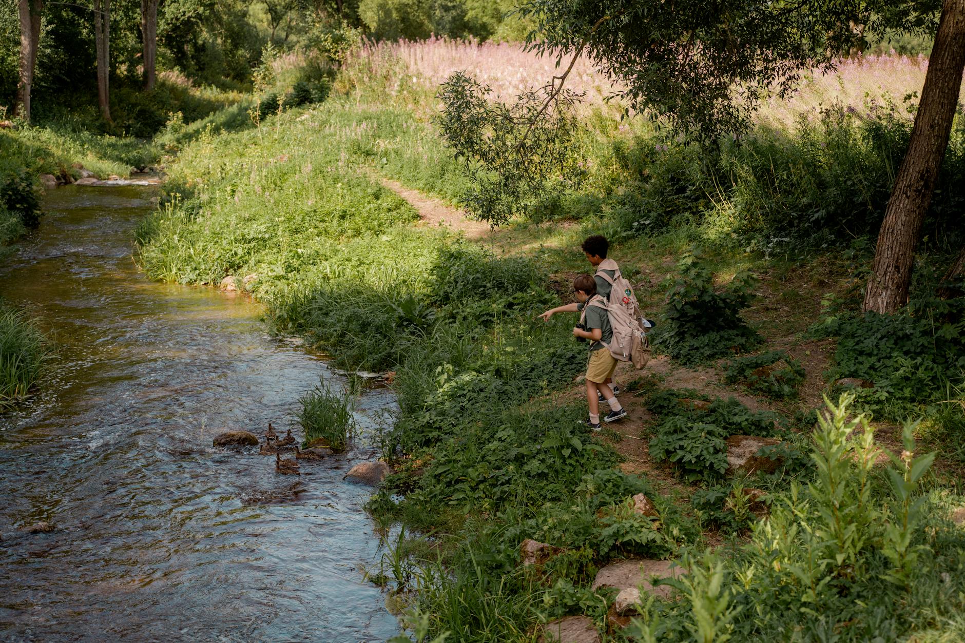 Les parcs nationaux de Madagascar : une immersion en pleine nature