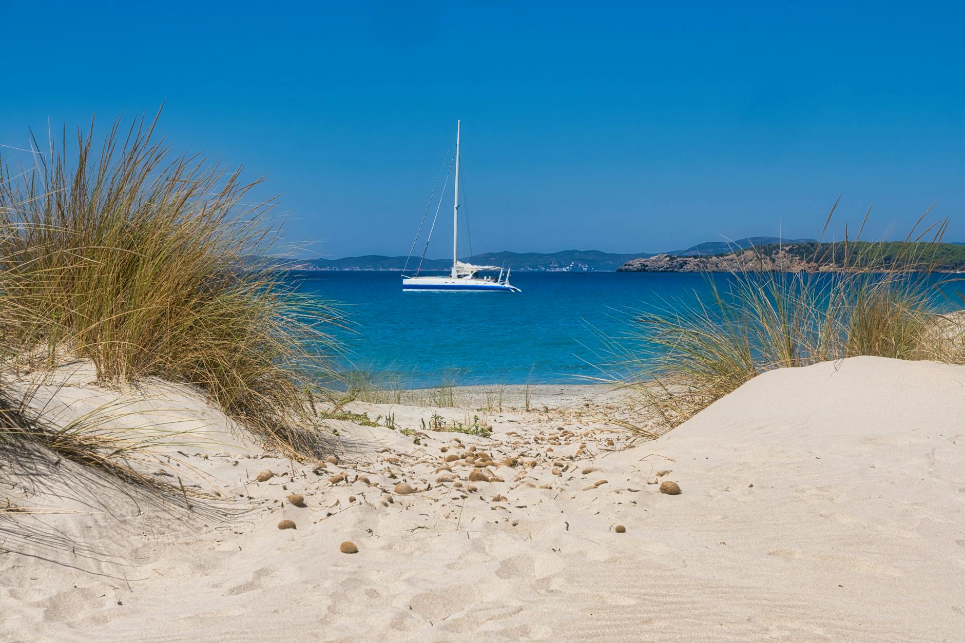 Les spécialités culinaires de Madagascar : un voyage des sens