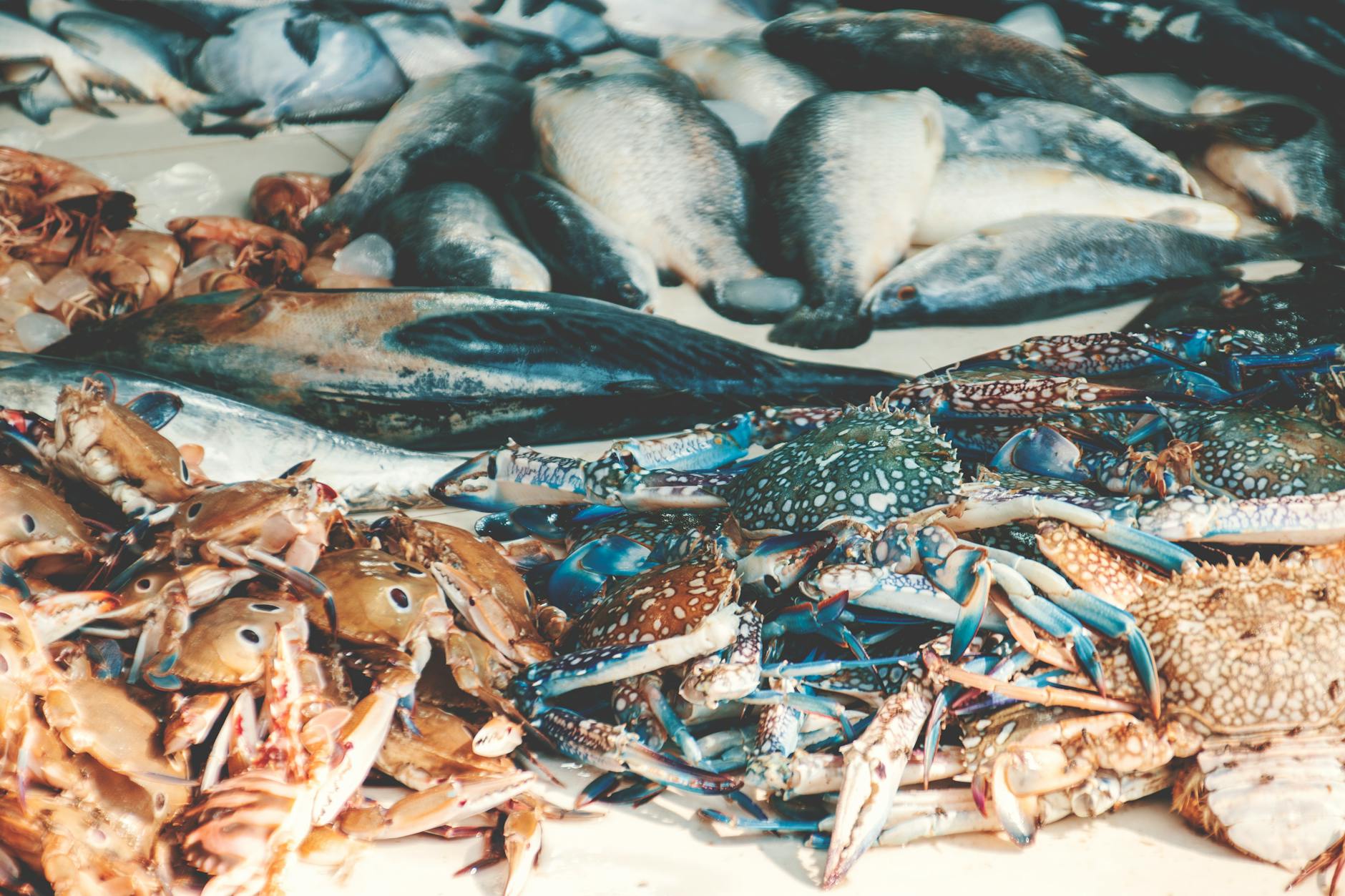 De la récolte à l&rsquo;assiette : l&rsquo;itinéraire culinaire malgache