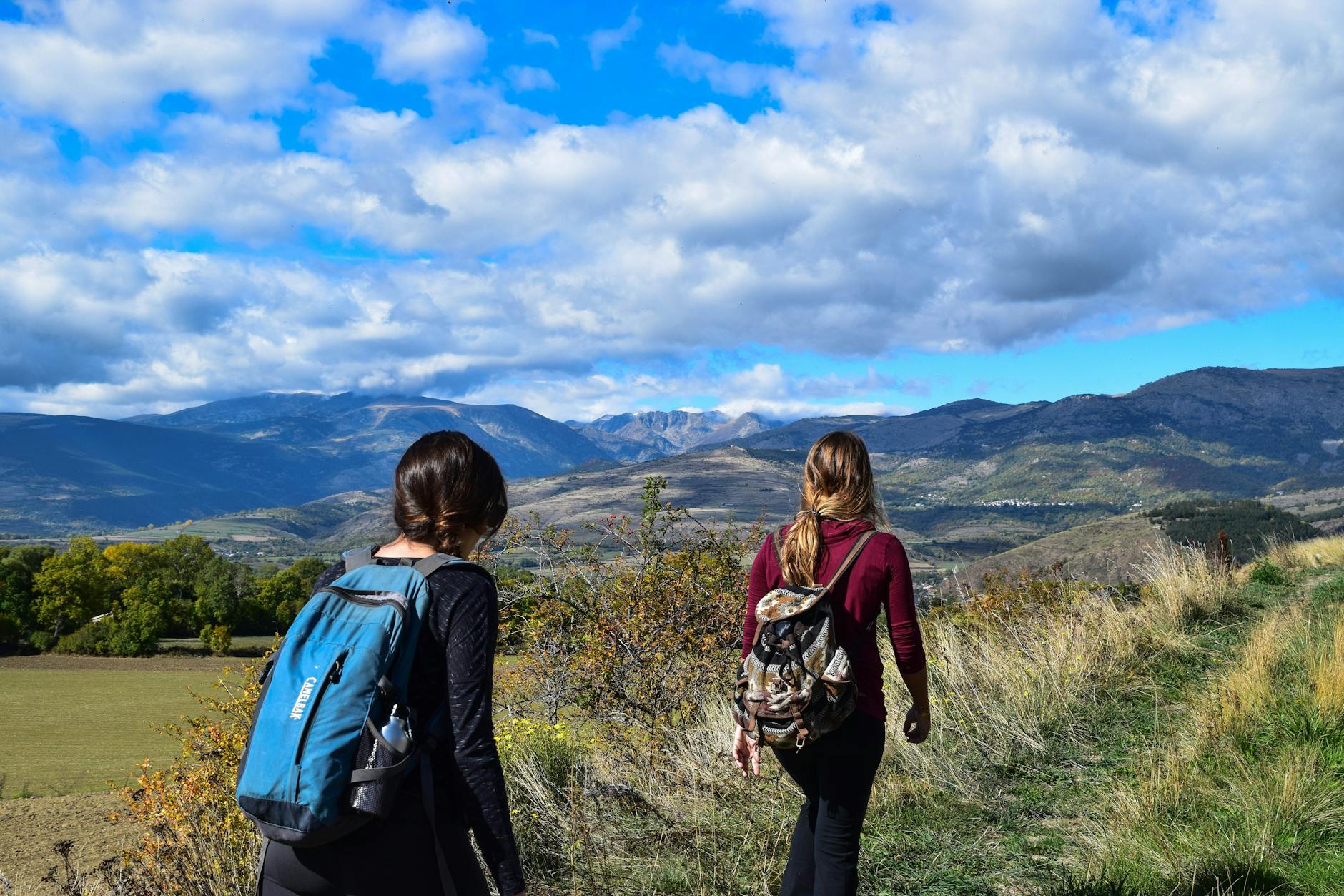 Le parc national de Ranomafana : joyau de la biodiversité