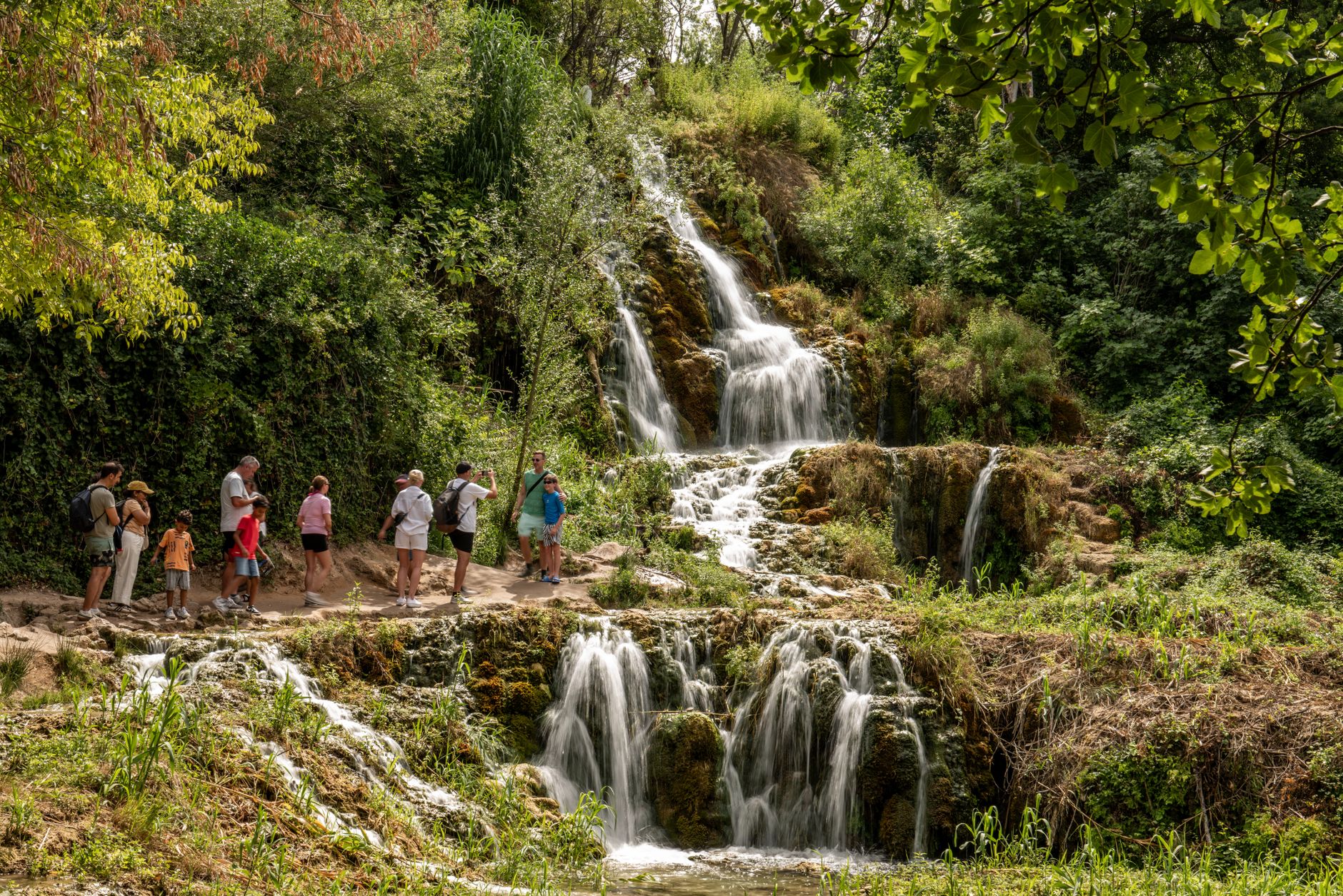 L&rsquo;importance de la sensibilisation à la conservation en voyage