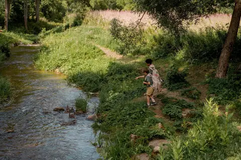 La beauté naturelle de Madagascar : un appel à la responsabilité
